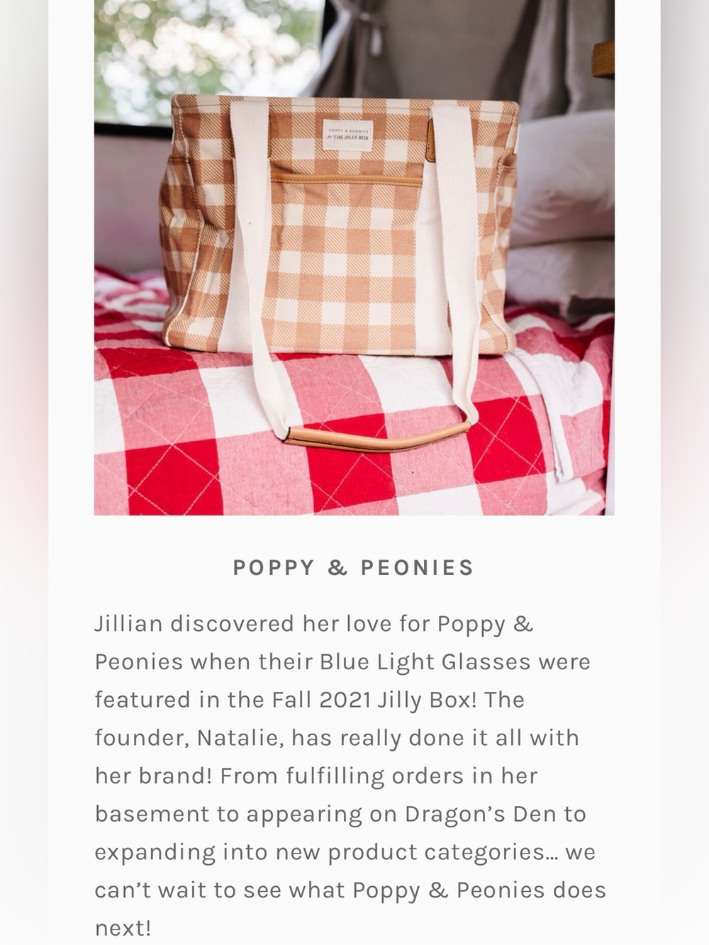 Poppy & Peonies Everyday Tote – Jilly Box Exclusive Caramel Gingham – New (Rare) - Picture 2 of 16